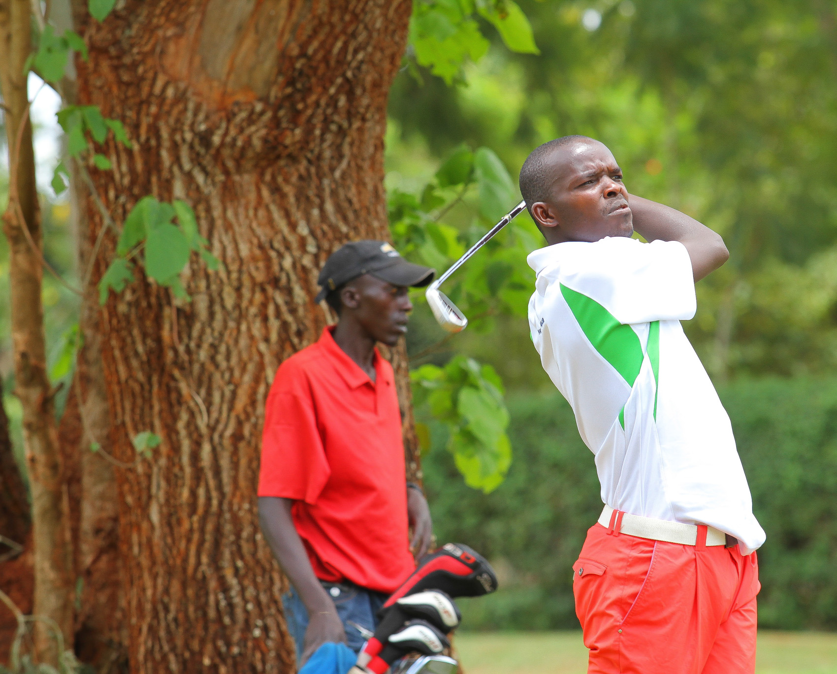 Kenya Golf Guide